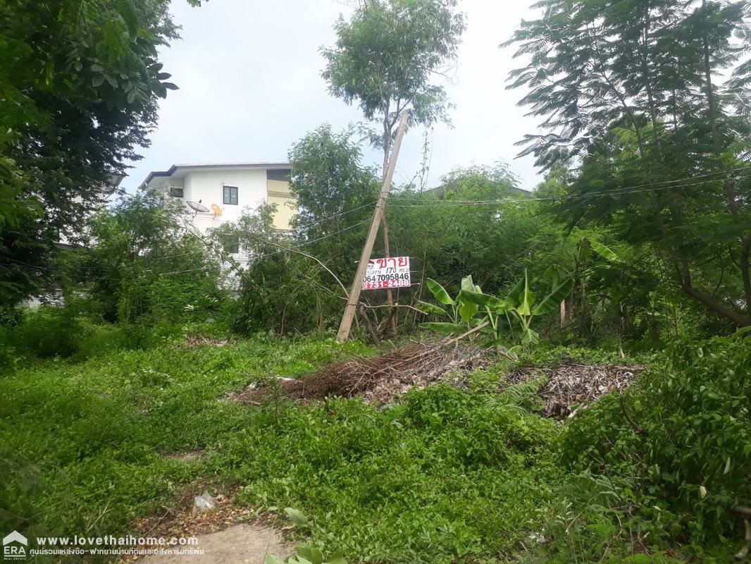 ที่ดิน-ถมแล้ว-เนื้อที่-170-ตรว-ถนนสุขาภิบาล-5-ซอย-40